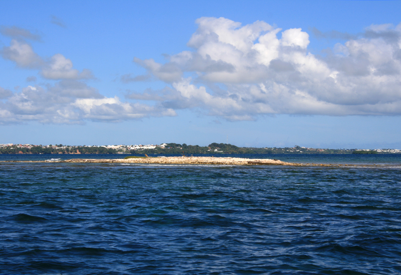  The Saint-Hilaire islet being formed